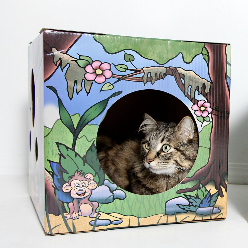 Maison de chat graphique