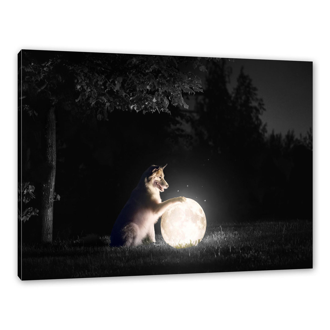 Leinwandbild Hund mit leuchtendem Mond bei Nacht