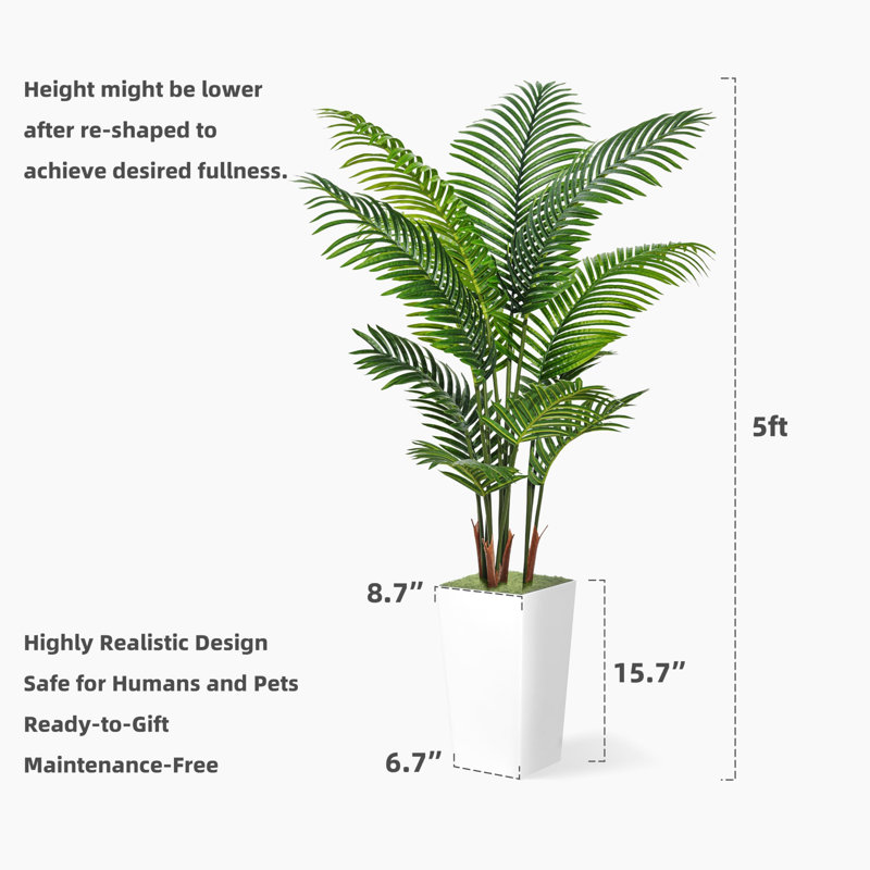 60 plantes, Blanc