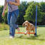 Agility Hurdle for Dogs