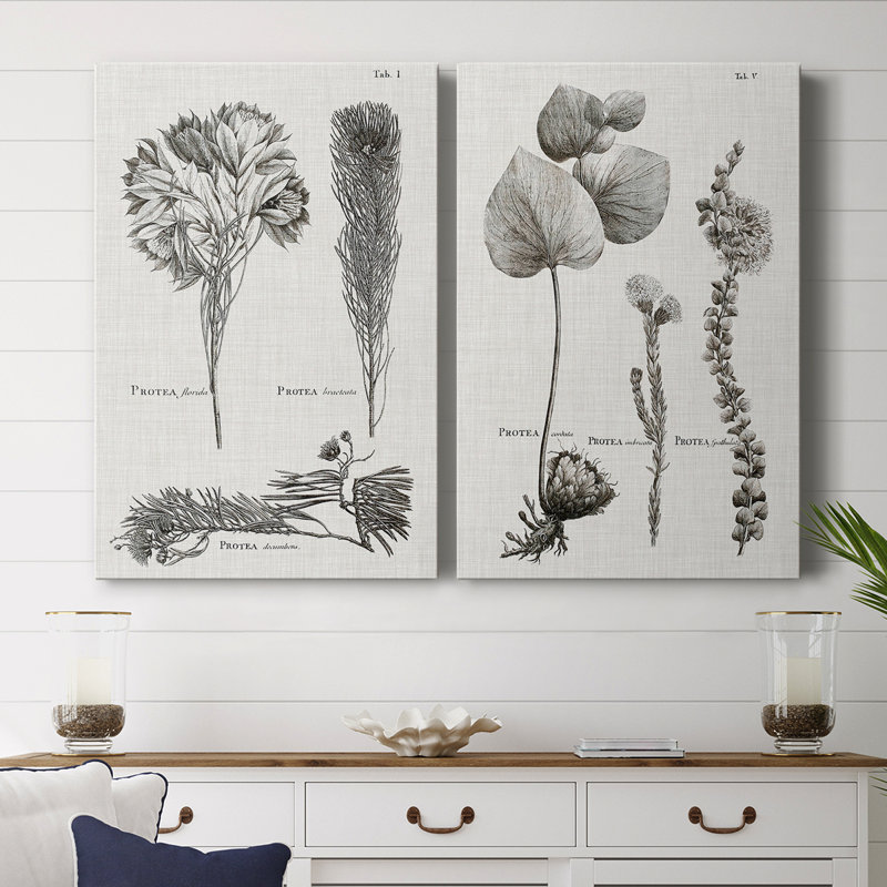 Toile tendue avec châssis noir et blanc Protea on Linen - Prêt à accrocher, H 27 po x l 36 po