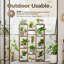 Chamberlyn Plant Stand-753785258
