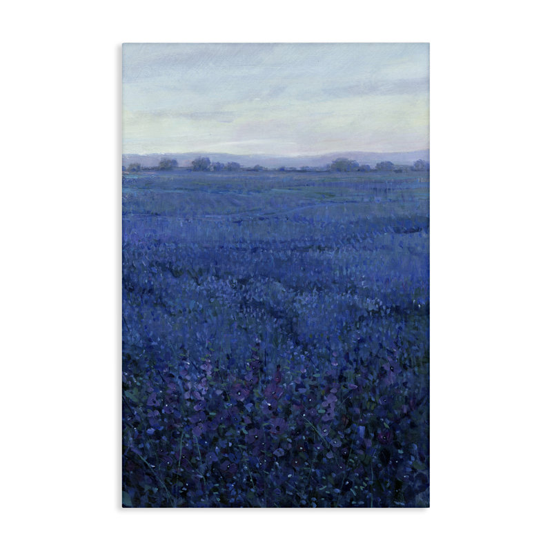 «Vast Blue Fields View», art mural par Tim Ottoole, H 30 po x l 20 po