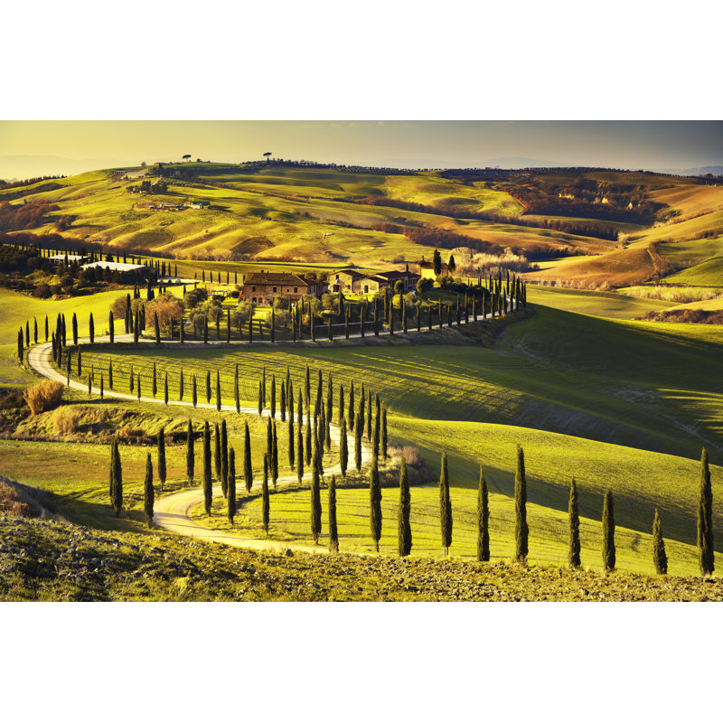 Tuscany, Rural Sunset Landscape. Countryside Farm, White Road by StevanZZ - Wrapped Canvas Print, 51cm H x 76cm W x 3.8cm D
