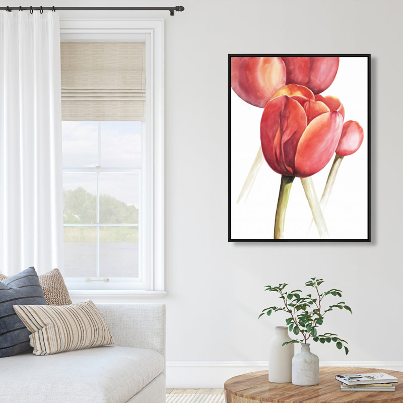 " Blossoming Tulips Closeup "