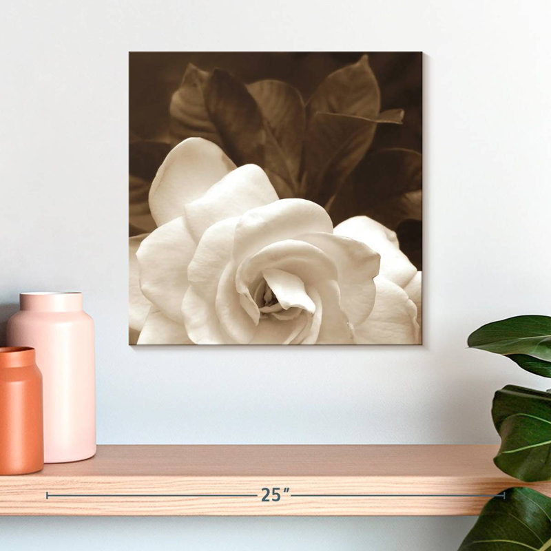 Harnek Gardenia Garden