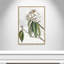 «Pearly Beauty II» par Eva Watts-129313448-129313462-129313491