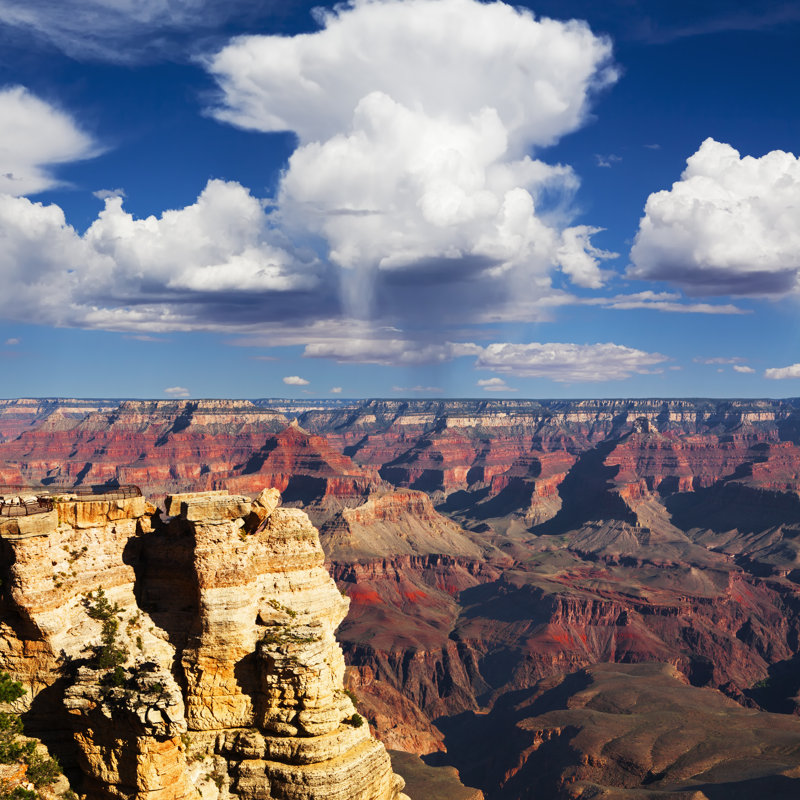 Grand Canyons - Wrapped Canvas Print, 51cm H x 51cm W x 3.8cm D