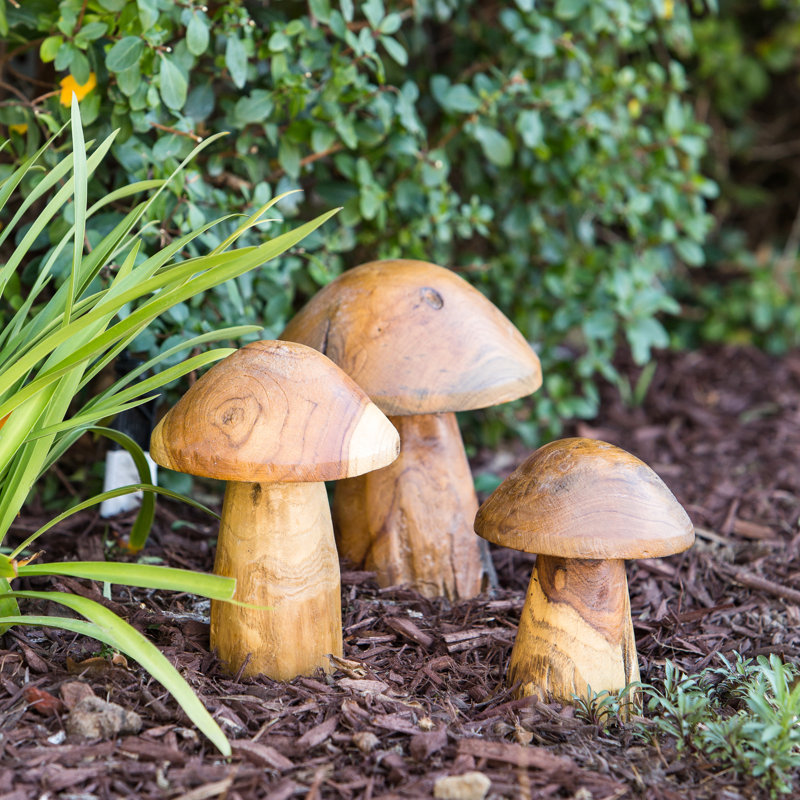 Ensemble de 3 champignons Chu Teak Root