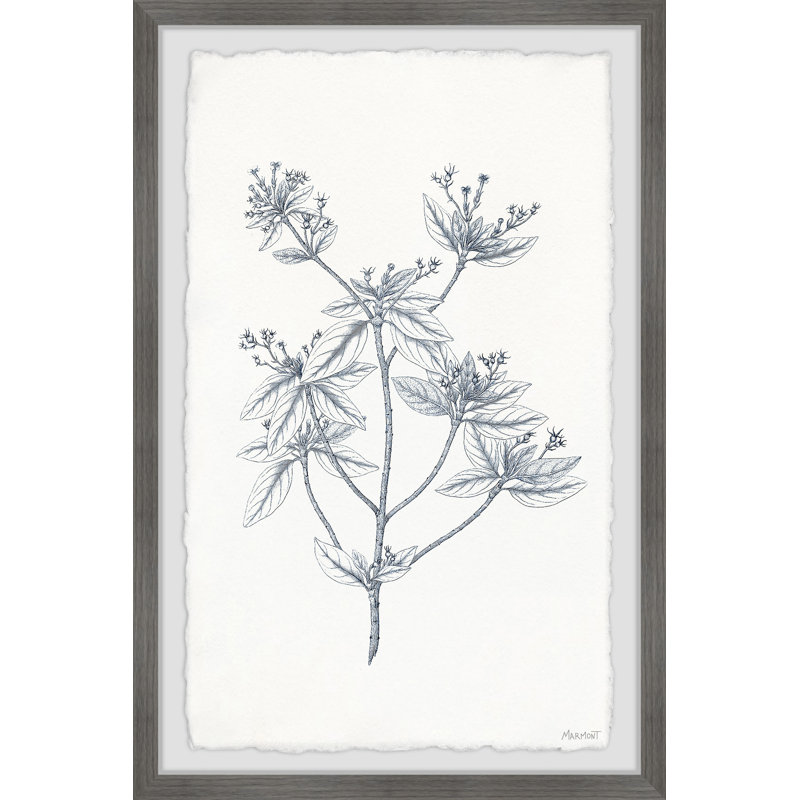 Indigo Botany Study III by Marmont Hill - Single Picture Frame Painting, 61cm H x 91cm W