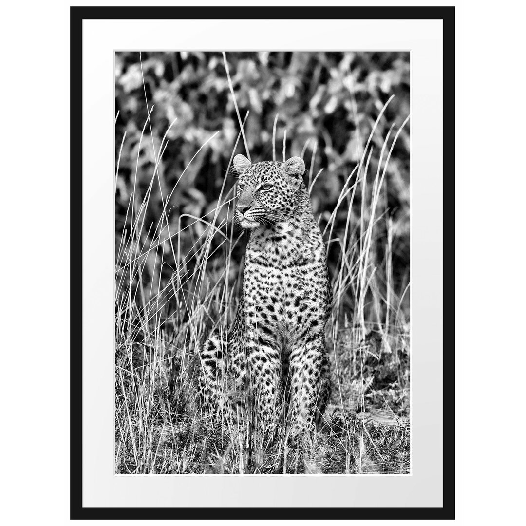 Anmutiger Leopard im hohen Gras Gerahmter Fotokunstdruck