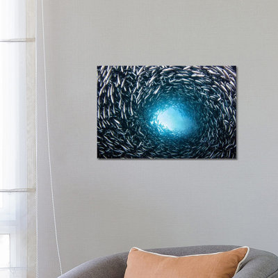A School Of Black Striped Salema Fish - Wrapped Canvas Print