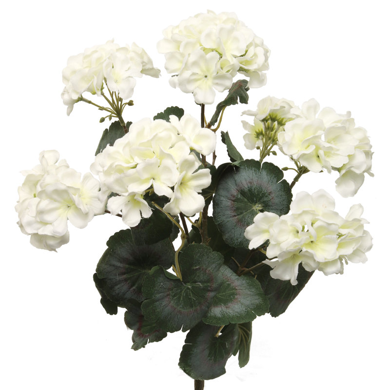 Arrangement de géranium