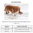 Clear Overflow Feeding Tray-265731423