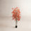 Maple Tree in Pot