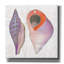 «Shimmering Shells 10» par James Wiens, art mural sur toile-1619049099