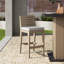 Ojai 40'' Acacia Outdoor Bar Stool with Cushion