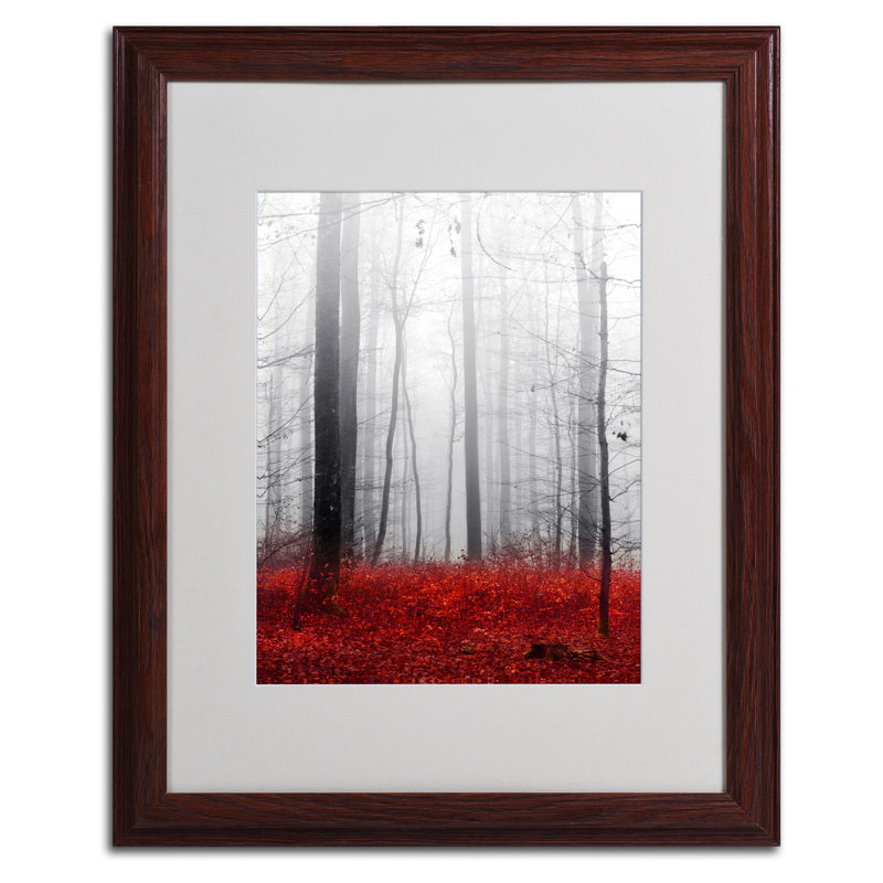 Little Red Carpet Black Framed Canvas Wall Art, 18x24