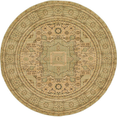Ophelia Oriental Indoor Rug