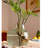 23.6'' Faux Fern Plant