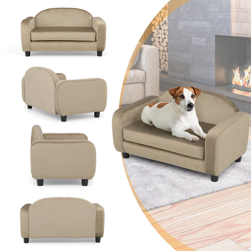 Light Brown Velvet Elevated Pet Sofa with Removable Cushion