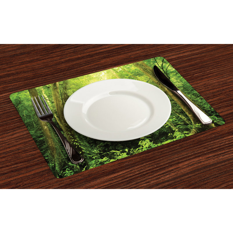 Récapitulatif 18,5" rainforest