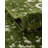 Giverny Oriental Indoor Rug-2094242168