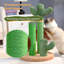 Grattoir pour chat Oasis Series