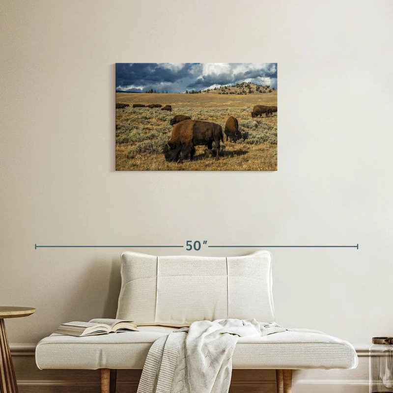 Brampt Yellowstone Bison, 20" H x 30" W