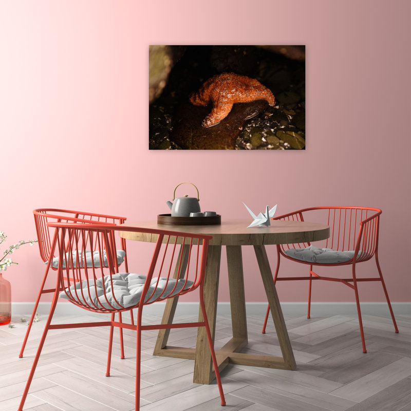 Crescent City Starfish Abstract Starfish Fish Beach City Wall Art Print 1 Piece Wrapped Canvas Wall Art