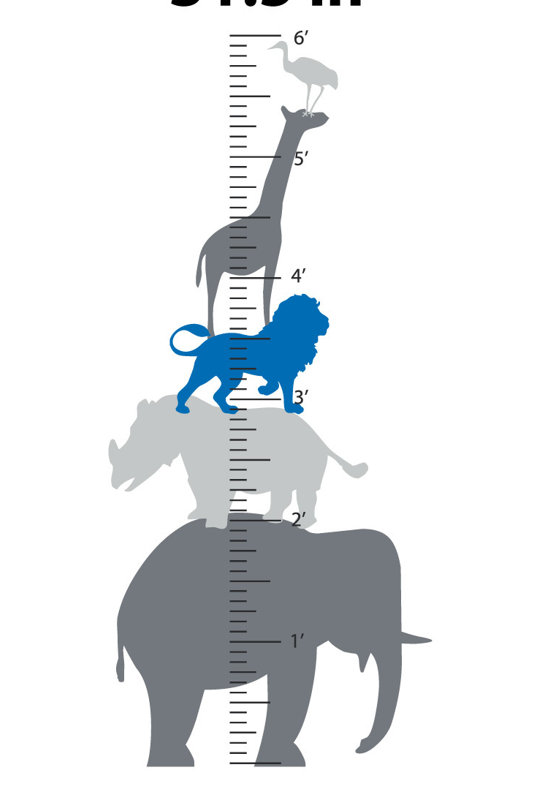 Décalcomanie murale graphique à croissance animale, Gris / Bleu