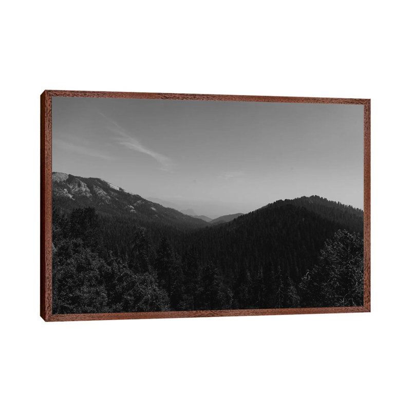 Sequoia National Park II by Bethany Young - Print on Canvas, 66.04cm H x 101.6cm W x 3.81cm D, Classic Brown Wood Framed
