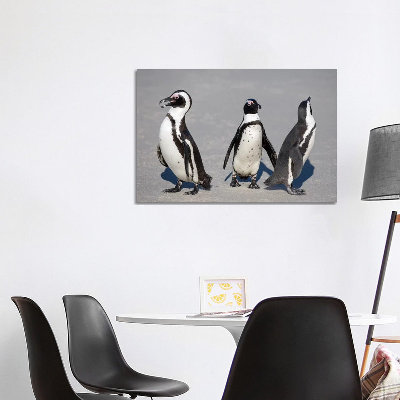 African Penguin Trio by Mogens Trolle - Wrapped Canvas Gallery-Wrapped Canvas Giclée, 101.6 cm H x 66.04 cm W x 1.91 cm D