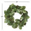 Magnolia Leaf and Twig Wreath