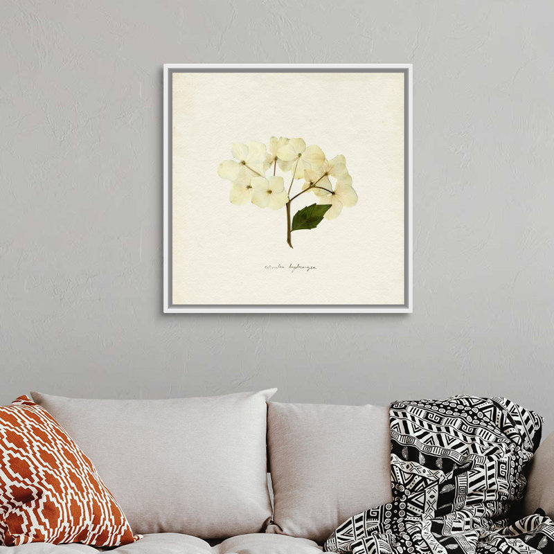 Cornales Hydrangea II par Emma Caroline - reproduction d'art, Toile blanche encadrée, H 32 po x l 32 po x P 1,75 po