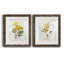 Canari lin géranium - ensemble de 2 reproductions d'art-755691910-755692021-755691908