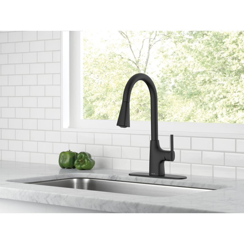 Pull Down Single Handle Kitchen Faucet, Black
