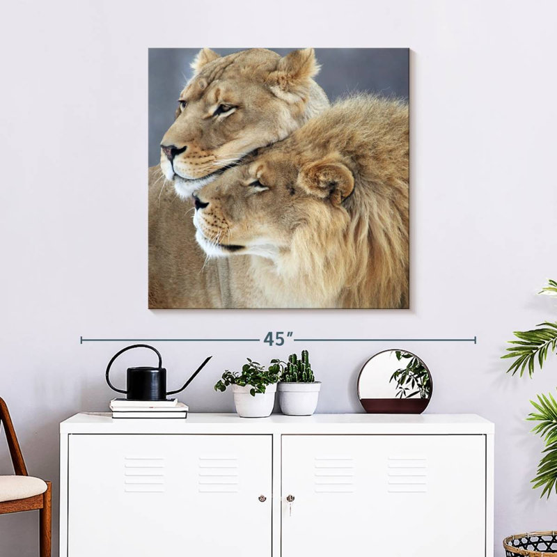 Amour de lion et de lionne Brampt, H 30 po x l 30 po