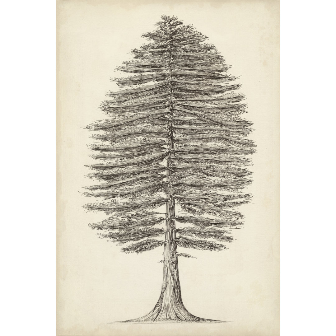 Pacific Northwest Tree Sketch II by Melissa Wang - Wrapped Canvas Art Prints