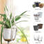 Paquet de 5 pots à fleurs suspendus en macramé pour porte-plante d'intérieur de taille différente pour Boho Home Decor