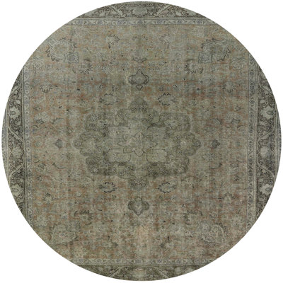 Eirian Oriental Indoor Rug