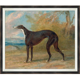 Greyhound 2 Print