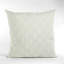 Tissu carré Plutus diamant brillant avec coussin de luxe Embroydery-62523876-62523880