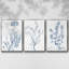 Ensemble de 3 pièces botaniques antiques encadrées sur toile V-768980003-768980000