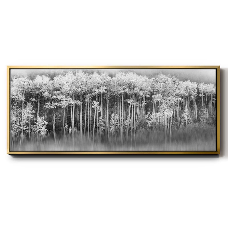 Toile encadrée Dreamy Aspen, H 20 po x l 50 po