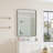 Stainless Steel Rectangle Mirror-144420146-144420144