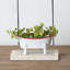 Mini porte-savon Kamel-822839477