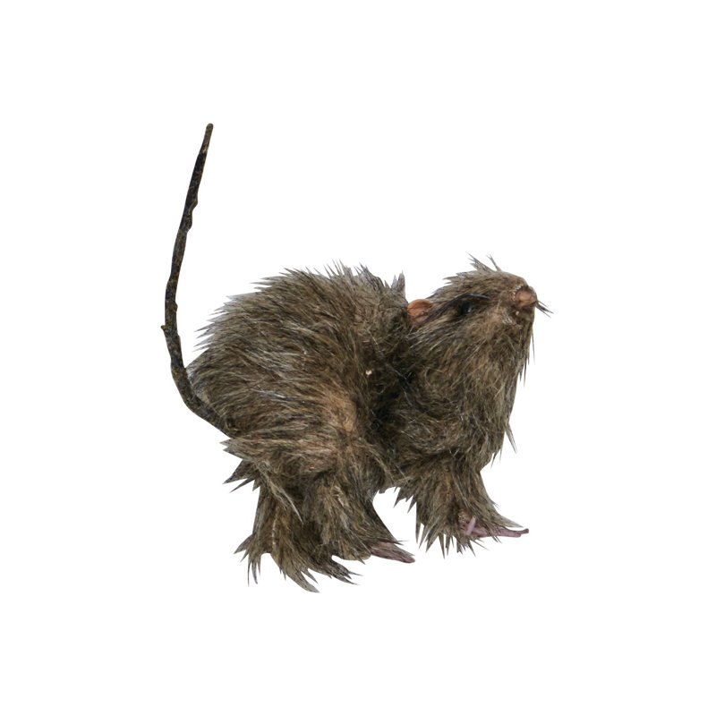 Petit rat à fourrure 5 po