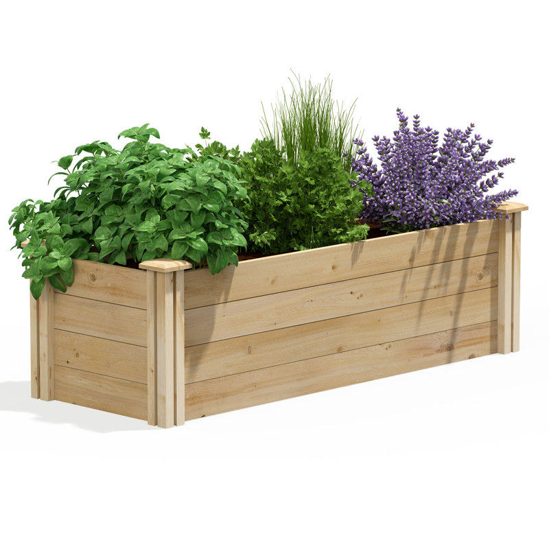 Lit de jardin surélevé en cèdre Original, H 14 po x l 48 po x P 16 po