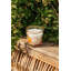 My First Baobab Candle Max08